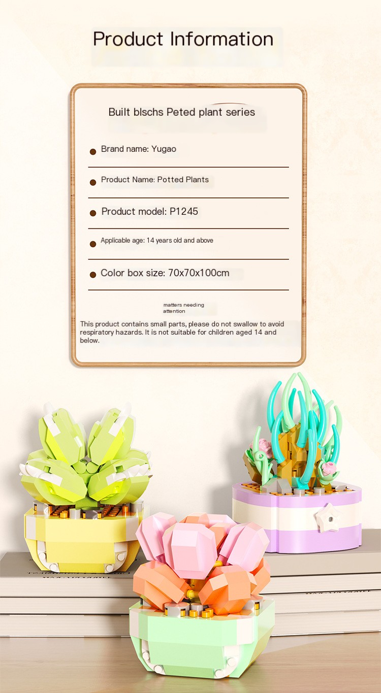 Build your own succulent garden