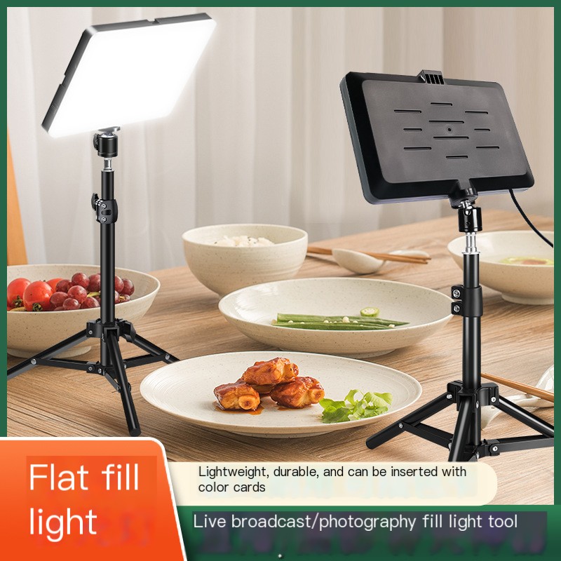 LED Fill Light Variation 2