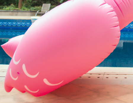 Flamingo Float Image 4