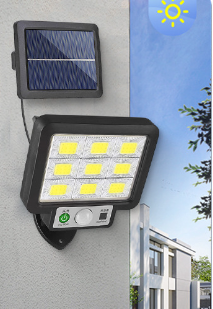Solar Powered Induction Light