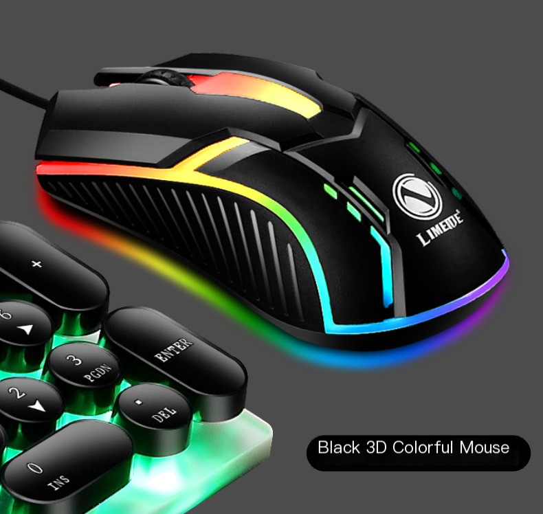 S1 Mouse Image 4