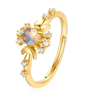 Elegant Design of the Ring