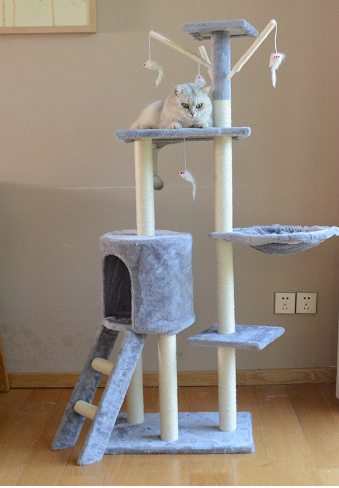 Cat Climbing Frame 3