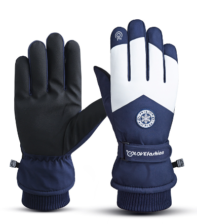 Ski Gloves Gray Purple