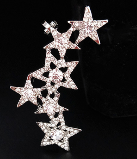 Single Gold Star Earrings
