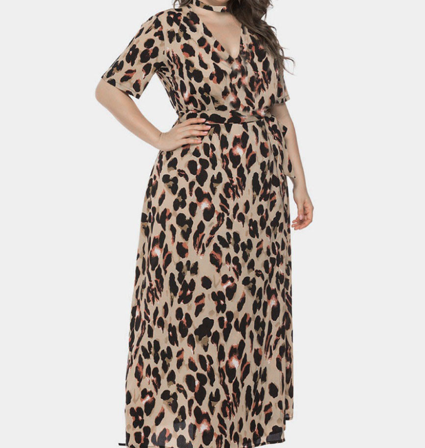 Leopard Print Dress - Side View