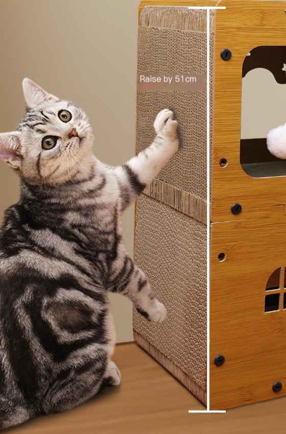 Cat Scratching Board in Use