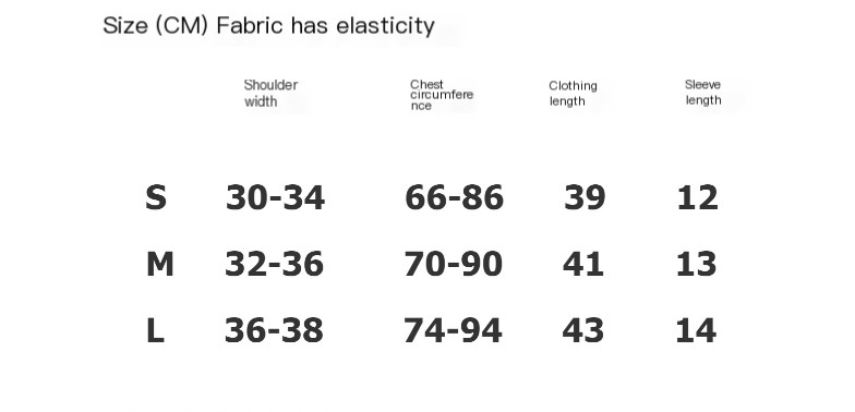 Transparent Mesh Turtleneck T-Shirt