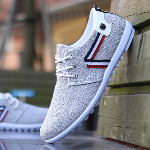 Men's Canvas Shoes