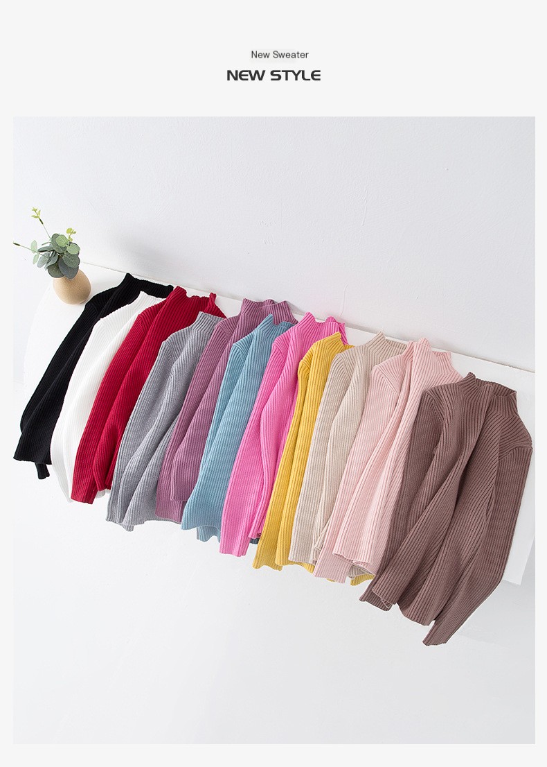 Knit Turtleneck Top 2