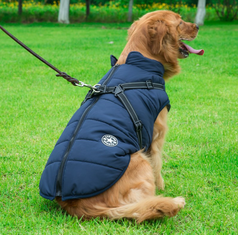Dog Jacket Green