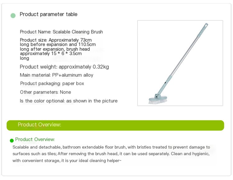 Extendable Long-Handled Brush