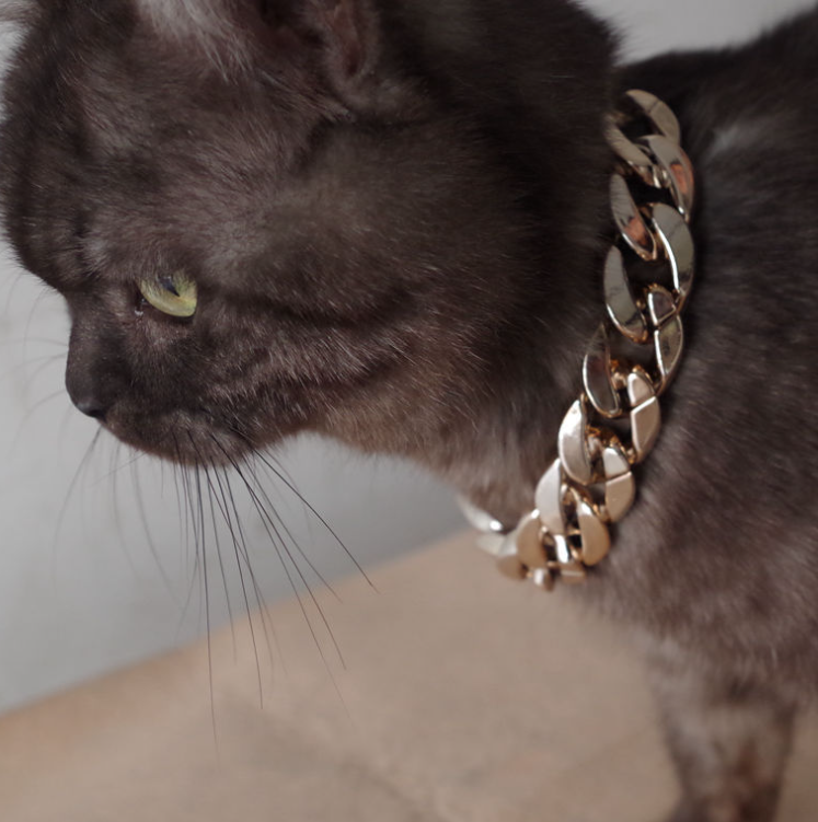 Pet Necklace Image 3