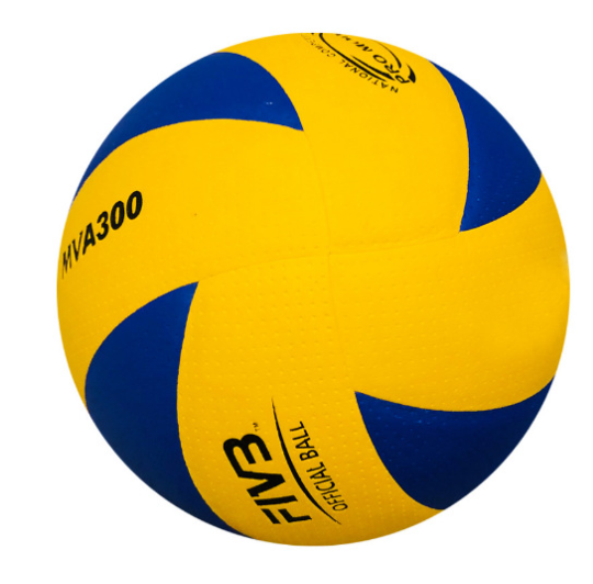 Volleyball Image 11