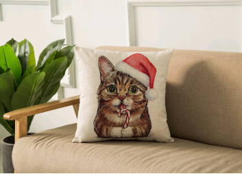 Cushion Cover Image 3