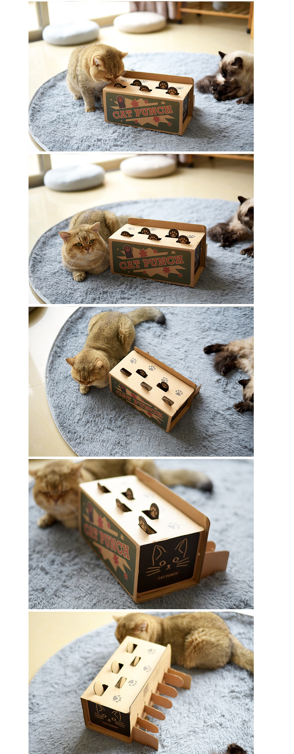 Cat Paper Box Image 2