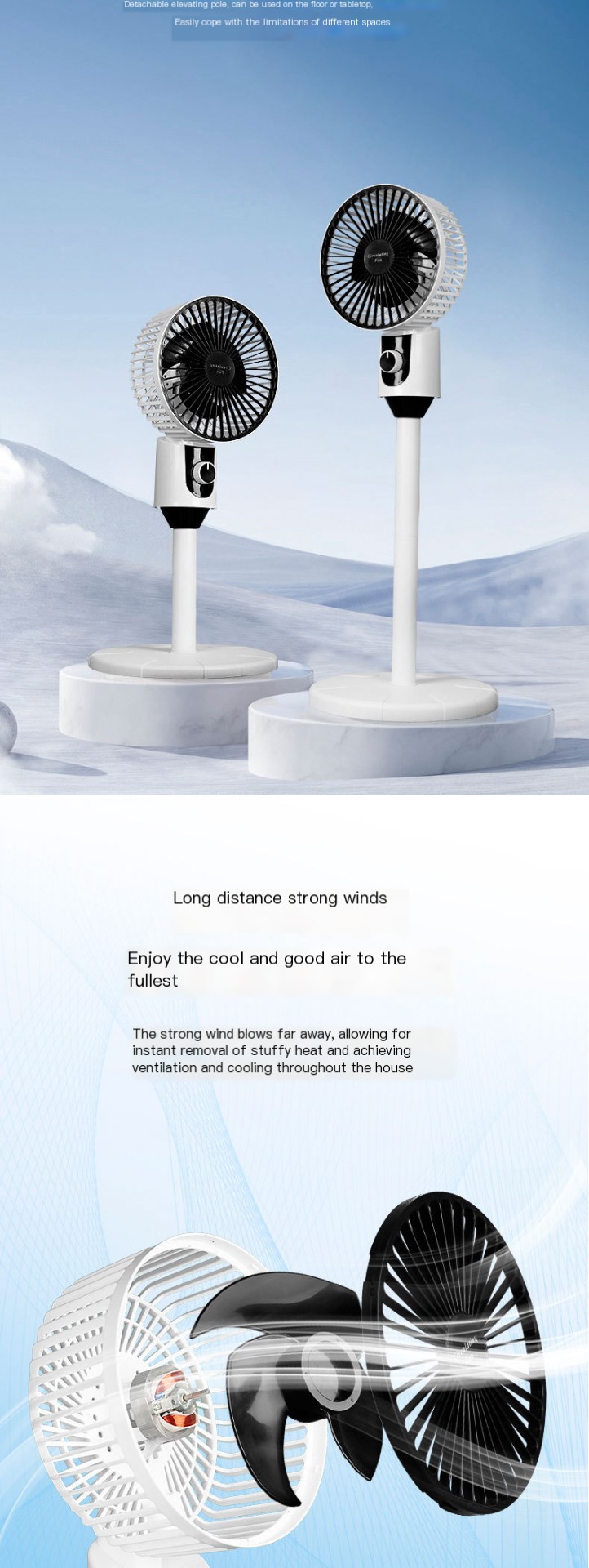 Stylish fan design