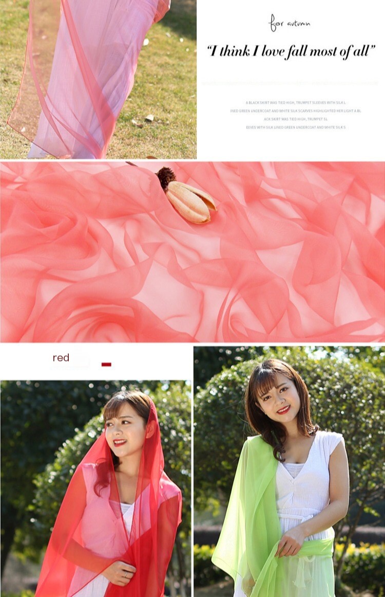 Chiffon Scarf 2