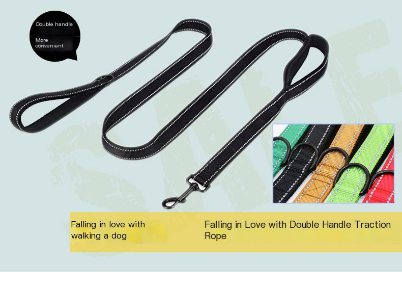 Dog Leash 2