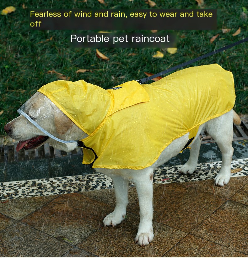 Dog in Blue Raincoat