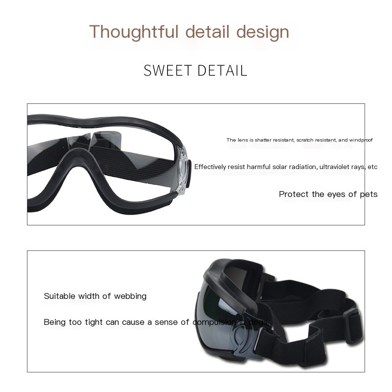 Pet Sunglasses 3