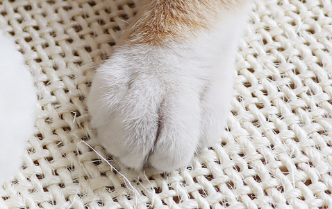 Sisal Cat Mat 3