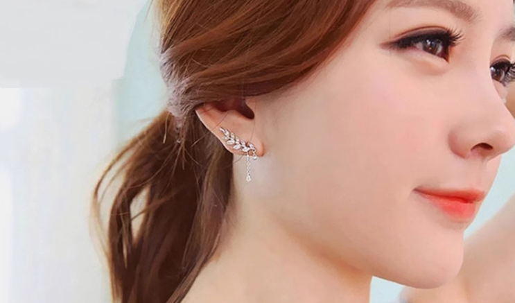 Elegant 925 Silver Earrings
