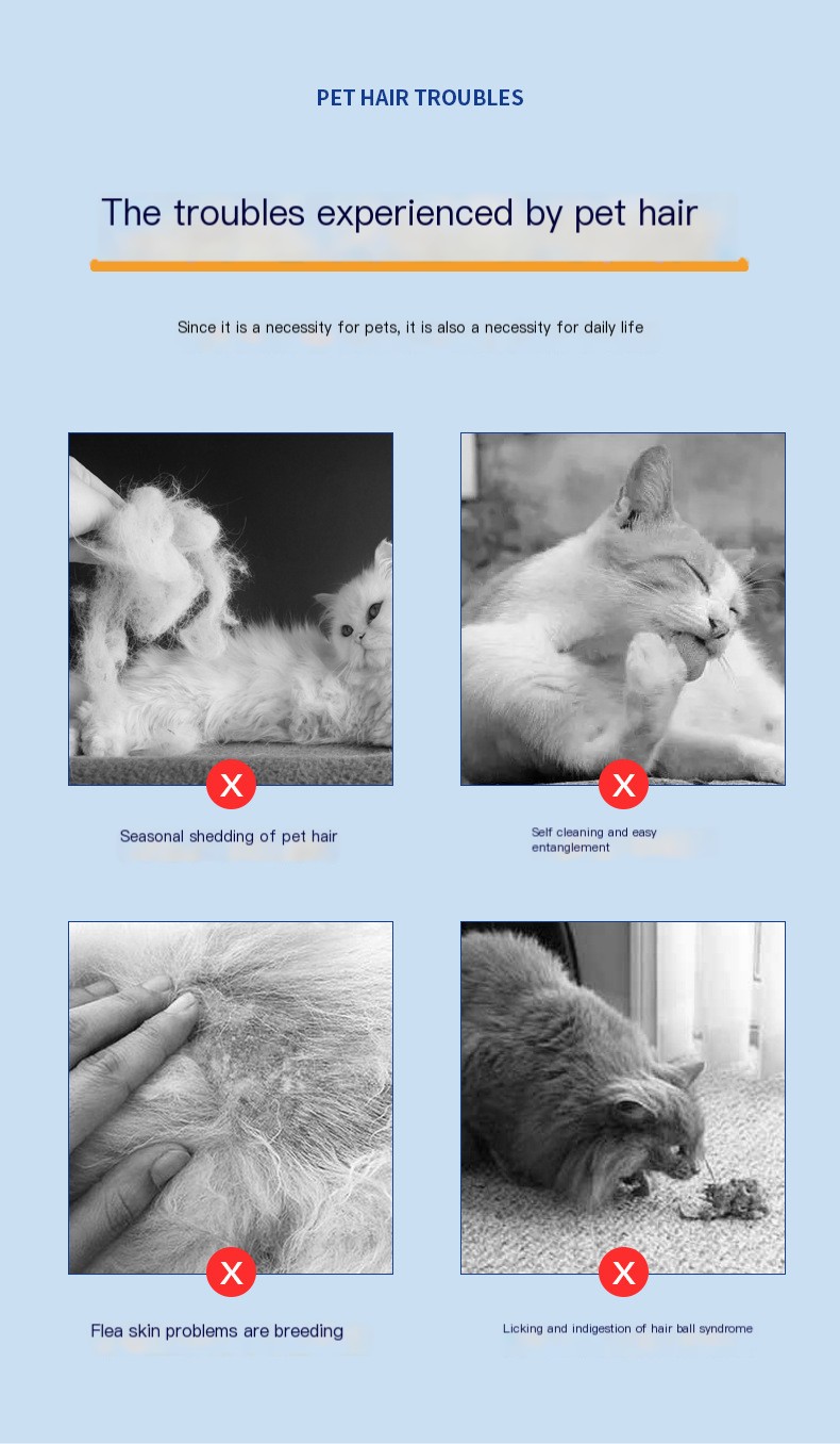 Pet Comb Image 3