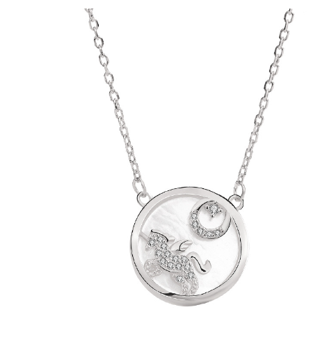 Close-up of Necklace Detail