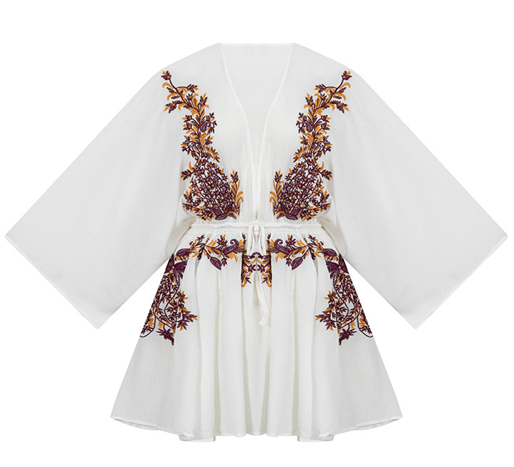 Embroidered Dress 1