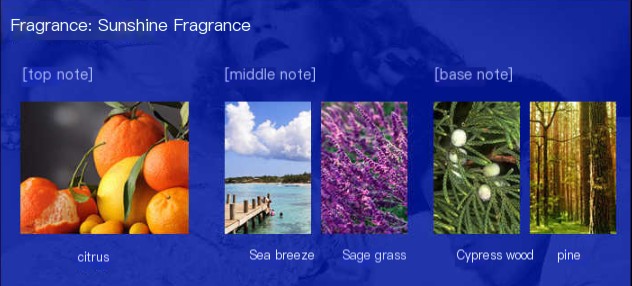 Perfume Packaging