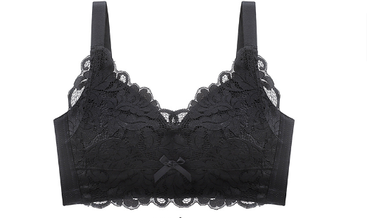 Lace Embroidered Bra Set Image 3