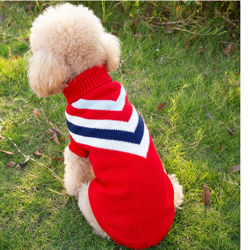 Golden Dog Clothes 3