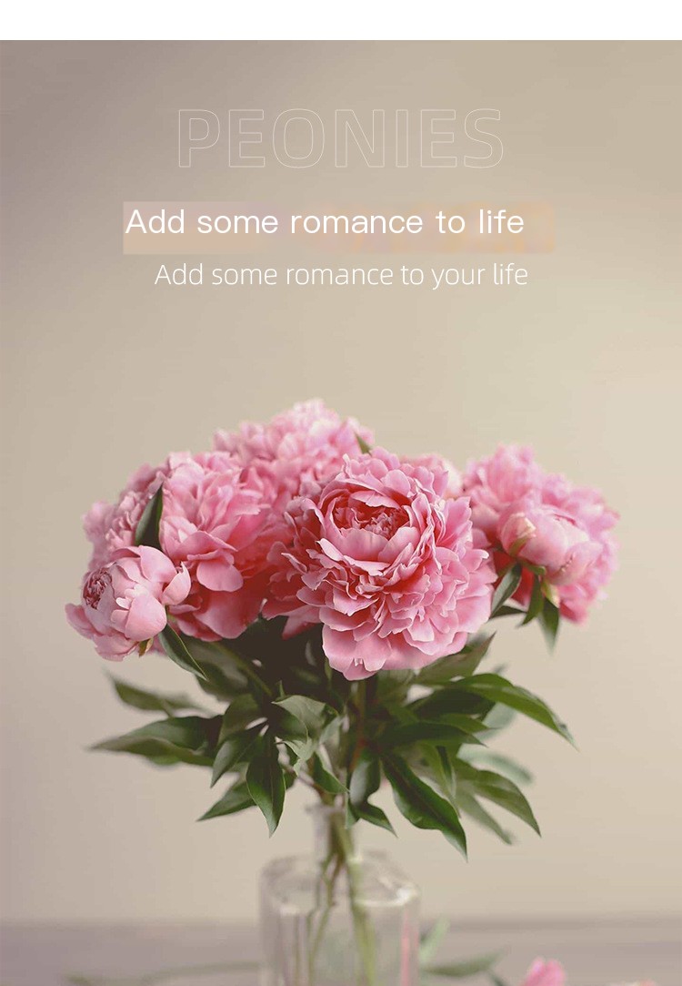 Peony Flower Cutting Die