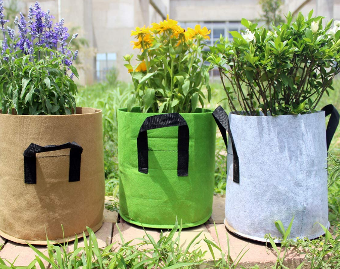 Plant Bags Image 1