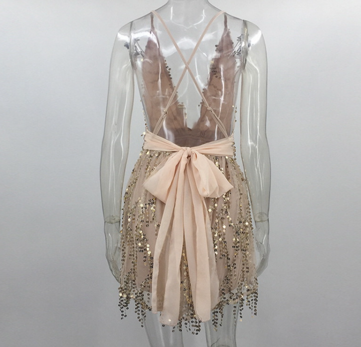 Sequin Dress Full Length View