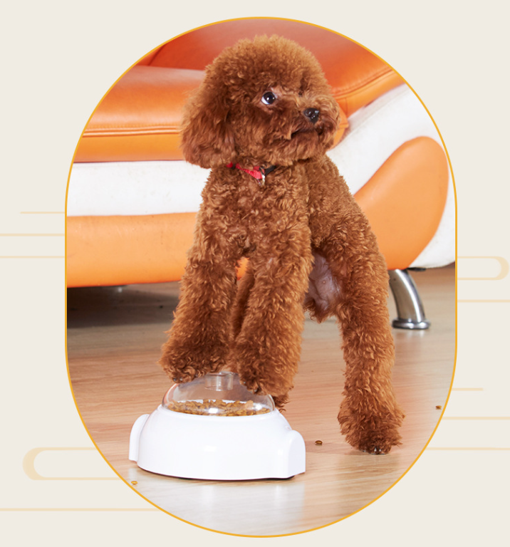 Roller Food Dispensing Ball Image 3
