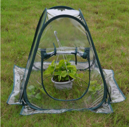 Foldable Greenhouse 4