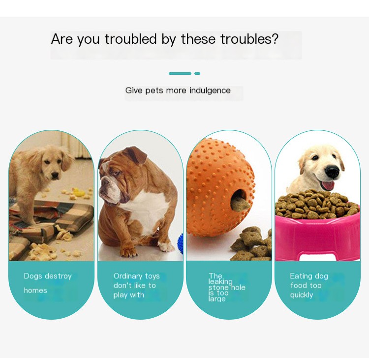 Dog Toy