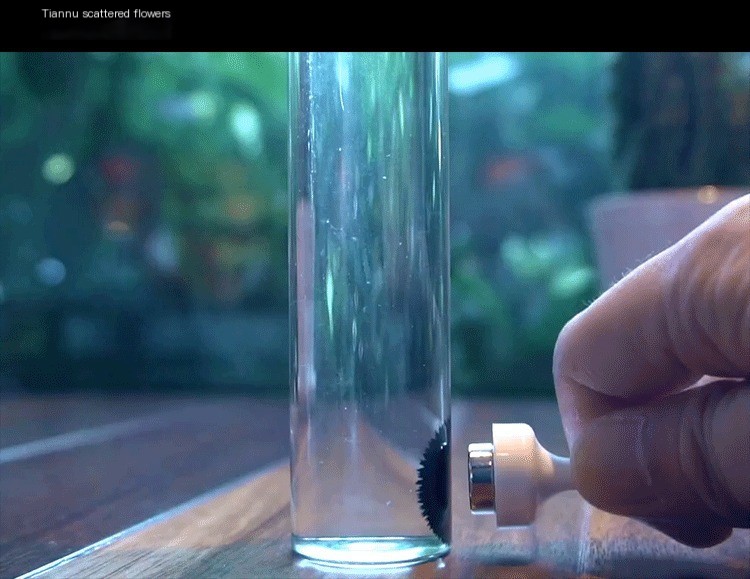 Ferrofluid Bottle 5