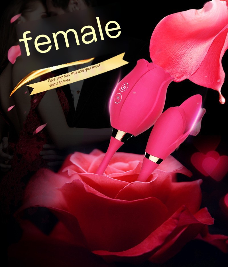 Vibrator Image 1