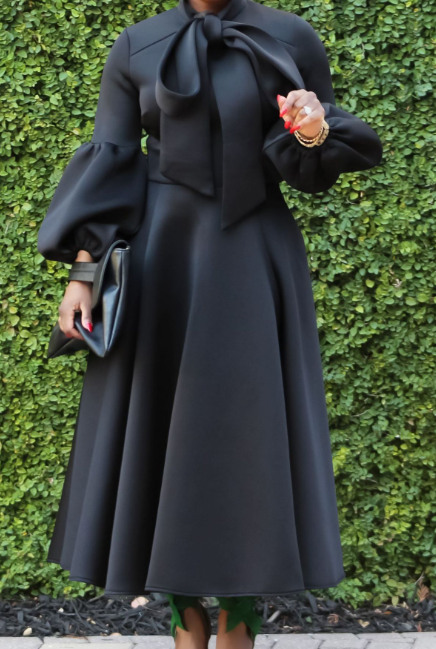Chiffon Dress Side View