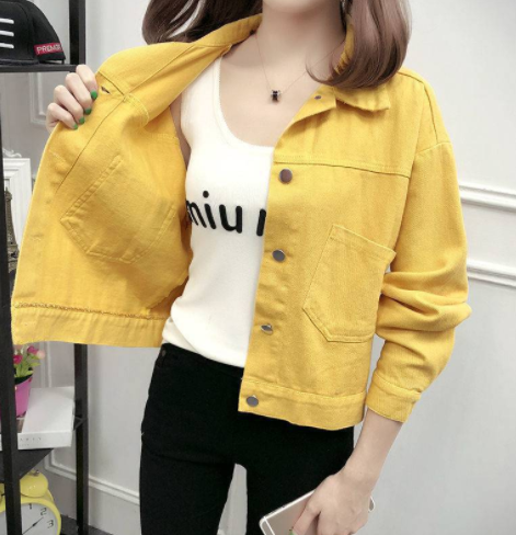 Short Denim Jacket Image 1