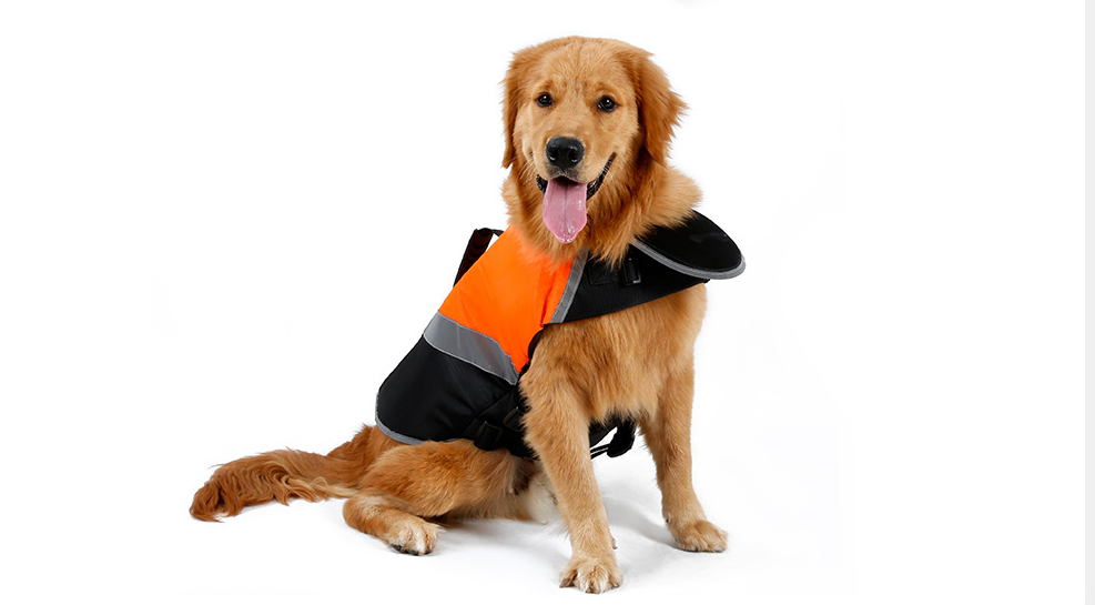 Pet Life Jacket Image 4
