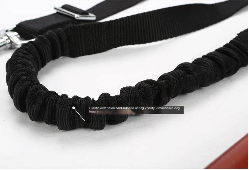 Bicycle Dog Leash Image 3