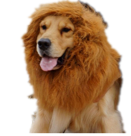 Lion Mane Wig for Dogs - Image 2