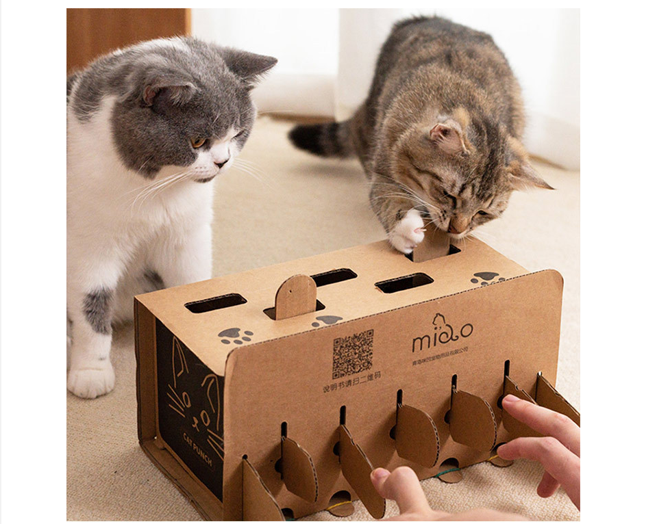 Cat Paper Box Image 1