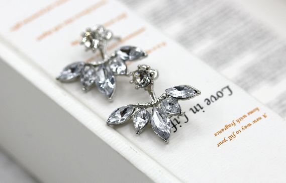 Earrings Image 5