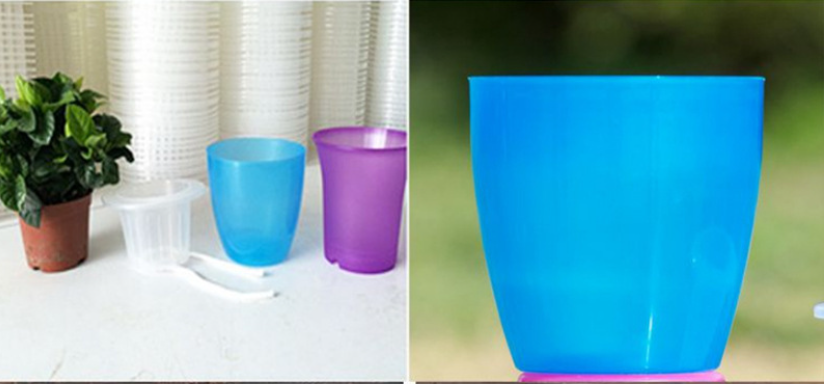 Colorful Plant Pot