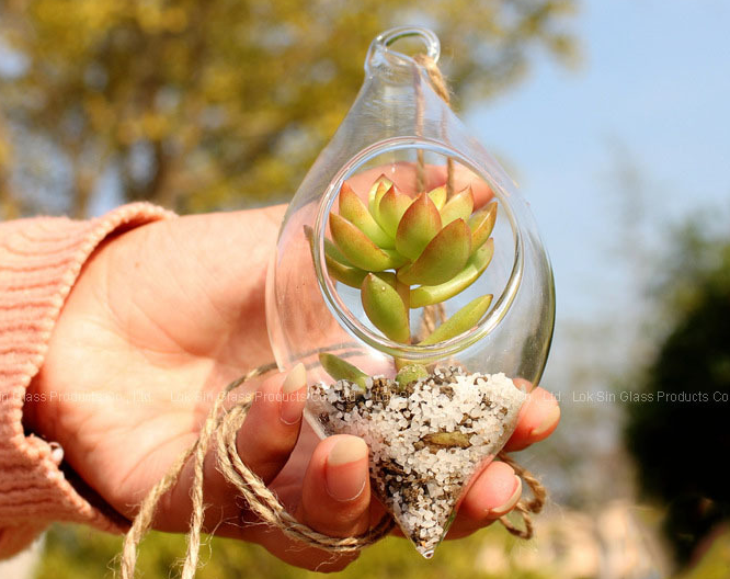 Hanging Glass Hydroponic Container 3